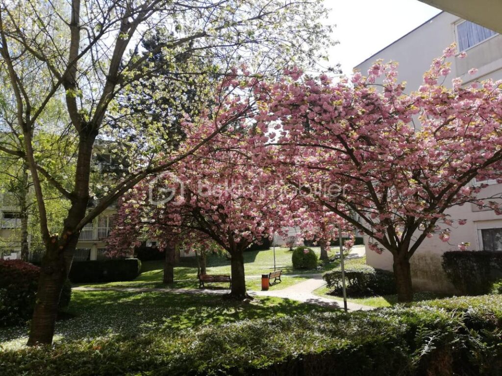 NOUVEAU ! Préparez vos valises ! – 3 pièces – 2 chambres – 66 m²