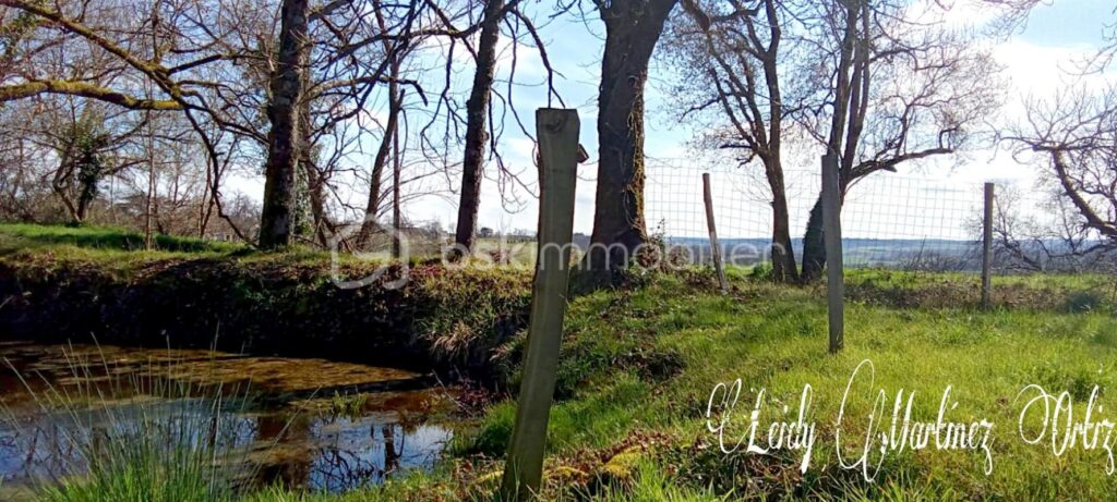 Propriété, maison 200m2,terrain 2,7ha – 6 pièces – 3 chambres – 200 m²