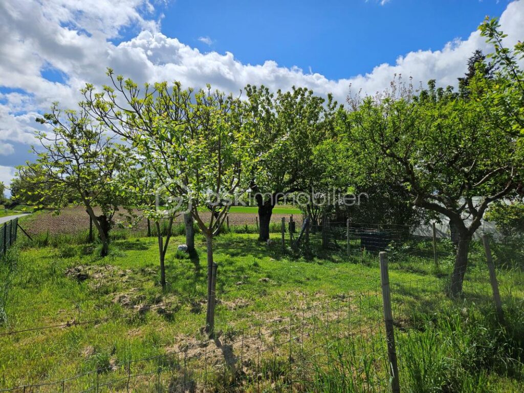 Maison de campagne – 5 pièces – 3 chambres – 150 m²