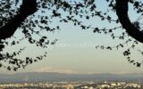 Appartement à vendre à Pollionnay