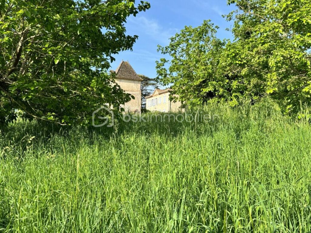 Belle maison en pierres, Dépendances –garage–3 ha 82 – 8 pièces – 6 chambres – 250 m²