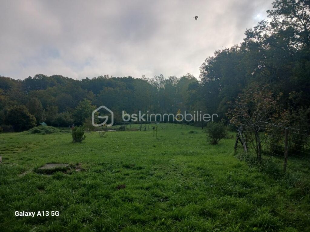 À VENDRE – MAISON ÉCOLOGIQUE & ATYPIQUE POUR AMOUREUX DE LA NATURE – 7856 m² DE TERRAIN – 8 pièces – 5 chambres – 212 m²