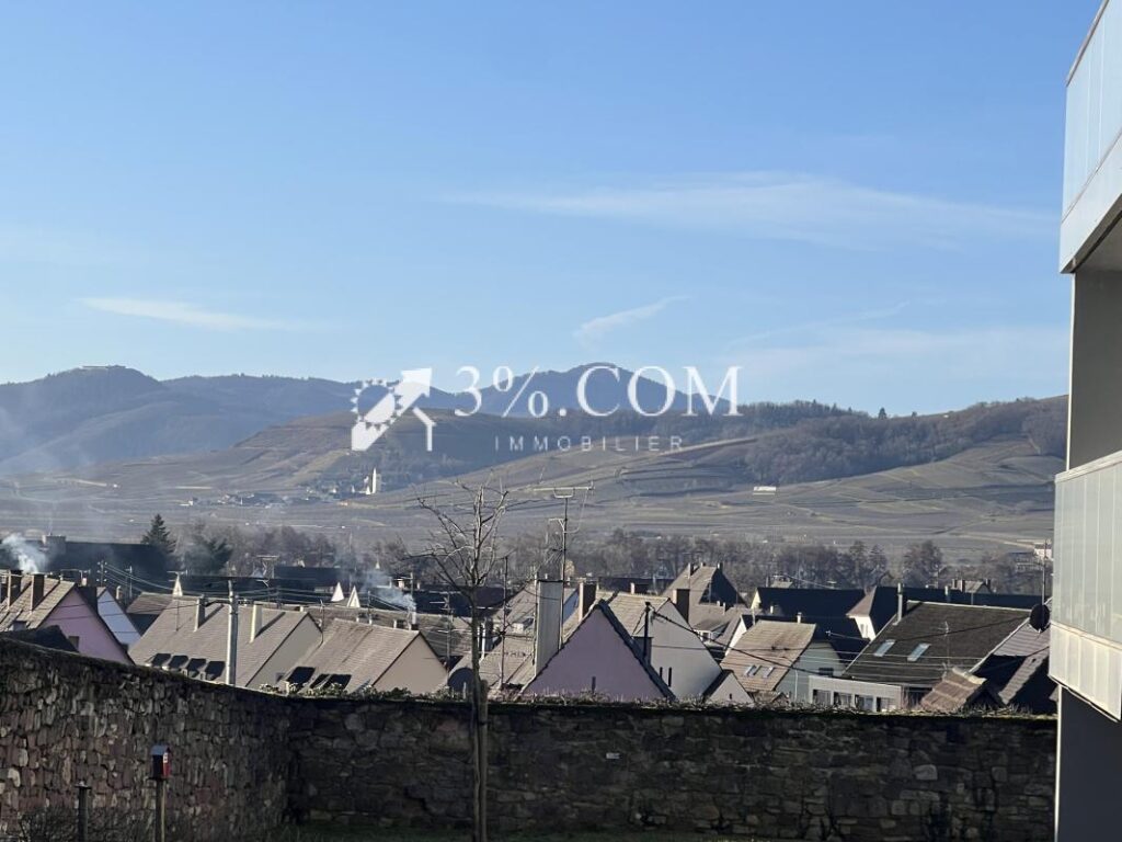 Bel Appartement de qualité au sein d’une petite copropriété – 2 pièces – 1 chambre – 46 m²