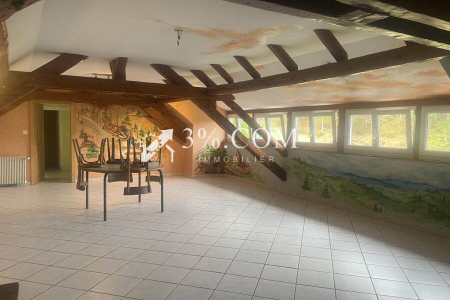 Maison à vendre à Sainte-Marie-aux-Mines — Vue nature — photo 16