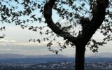 Appartement à vendre à Pollionnay