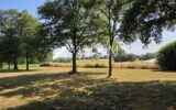 Maison à vendre à Carentoir — Vue nature — photo 17