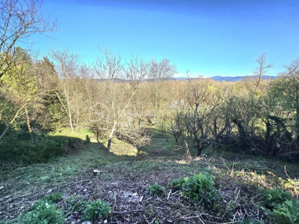 Maison avec dépendances + appartement indépendant – Vue dégagée sur la Chaîne des Puys – Impasse – Limons (63290) – 5 pièces – 3 chambres – 100 m²