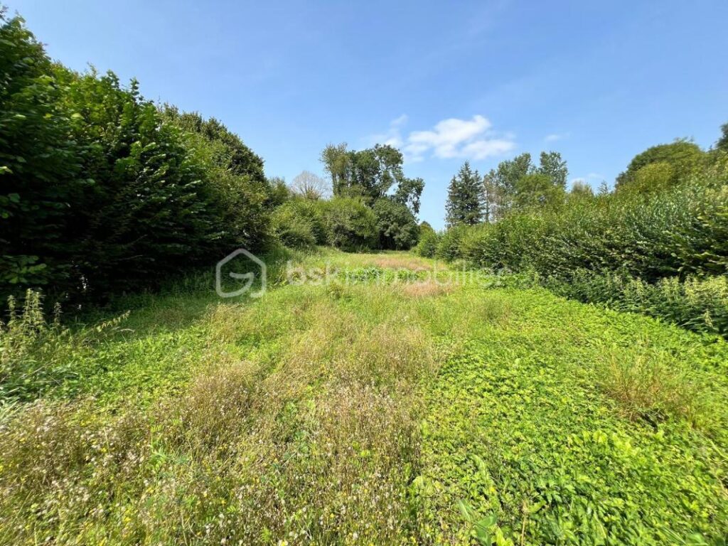 Maison à fort potentiel à la campagne – 5 pièces – 3 chambres – 131 m²