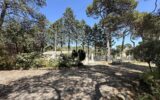 Maison à vendre à Fabrezan — Vue nature — photo 18