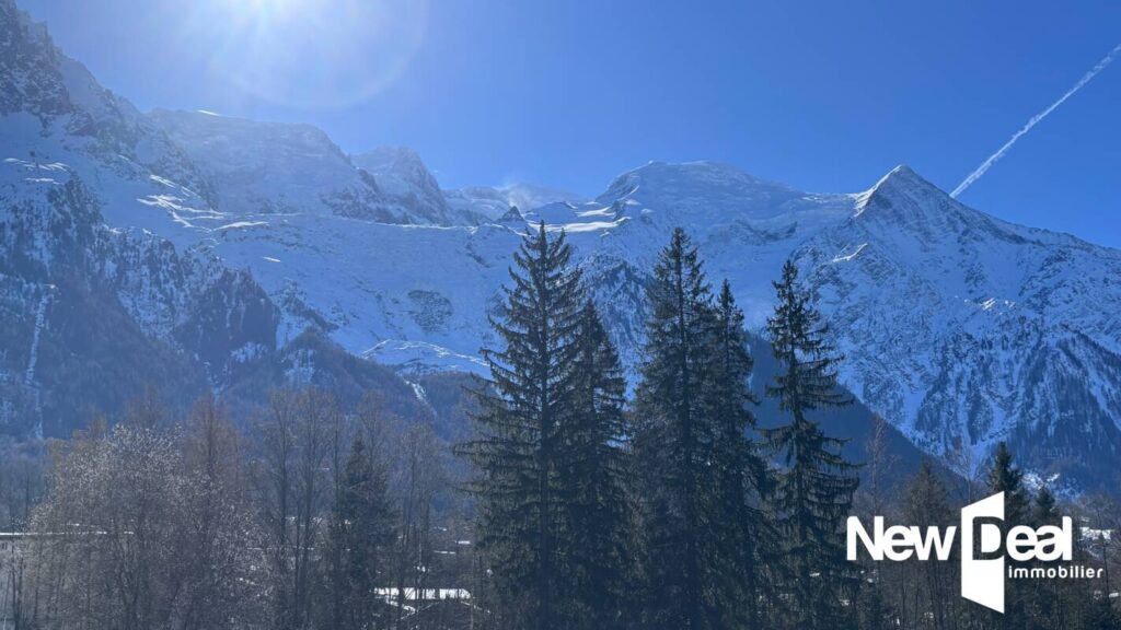 APPARTEMENT 2 Pièces – PARKING COUVERT PRIVATIF – CAVE – TERRASSE COUVERTE Plein SUD – 2 pièces – 1 chambre – 44 m²