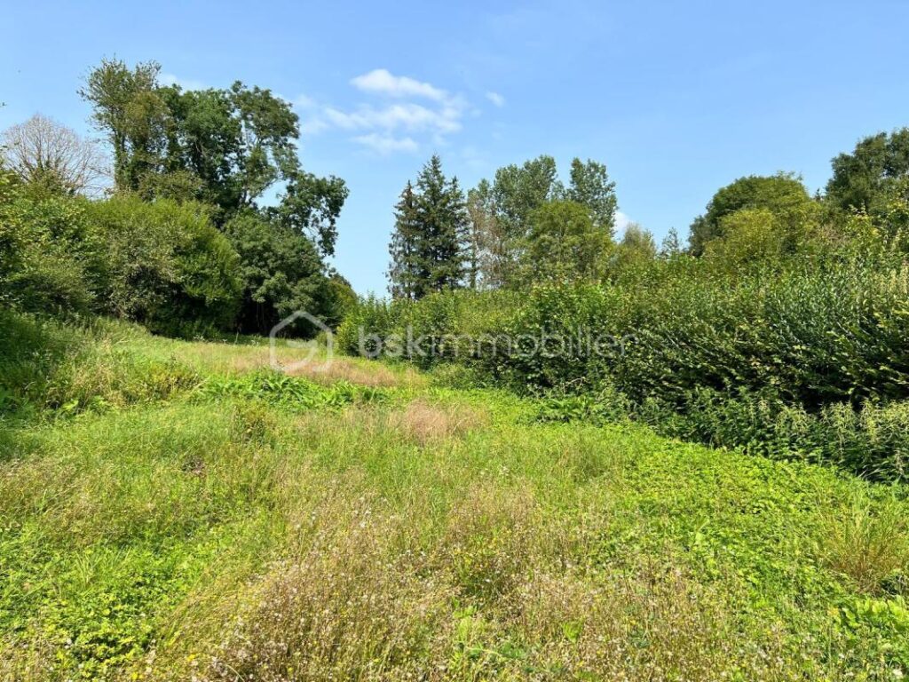 Maison à fort potentiel à la campagne – 5 pièces – 3 chambres – 131 m²
