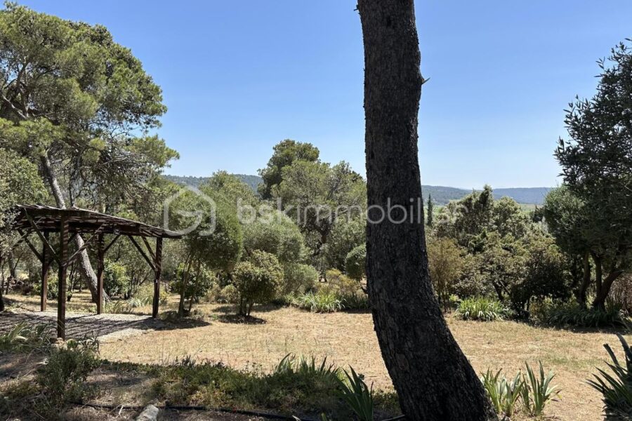 Maison à vendre à Fabrezan — Vue nature — photo 19