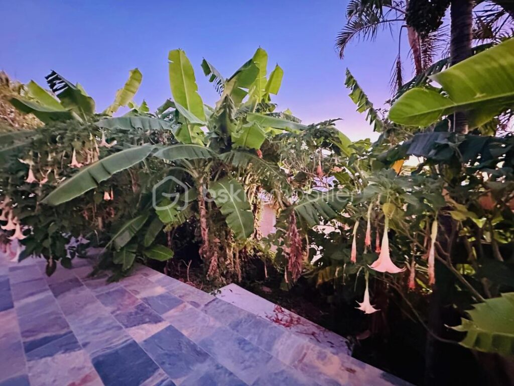 VILLA modulable à fort potentiel – Piton Saint-Leu – 8 pièces – 5 chambres – 185 m²