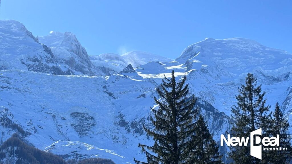 APPARTEMENT 2 Pièces – PARKING COUVERT PRIVATIF – CAVE – TERRASSE COUVERTE Plein SUD – 2 pièces – 1 chambre – 44 m²