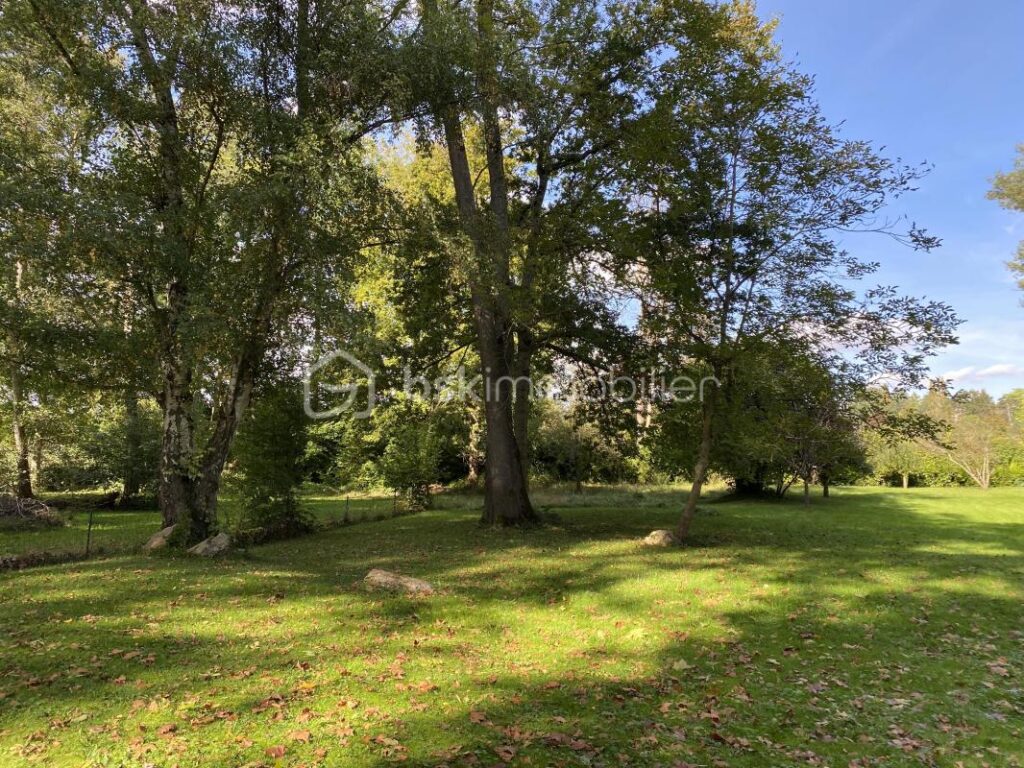 Maison de charme en bord de Seine – 5 chambres – 7 pièces – 5 chambres – 140 m²