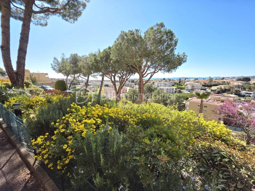 Superbe 2 pièces rénové – Dernier étage – Vue mer panoramique – 2 pièces – 1 chambre – 47 m²