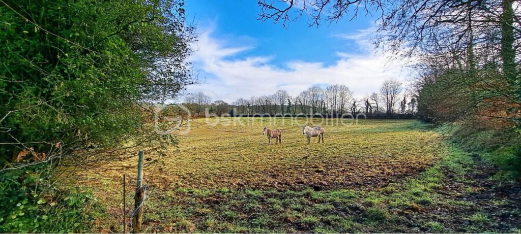 Au bout du chemin … La Confidentielle – 5 pièces – 3 chambres – 105 m²