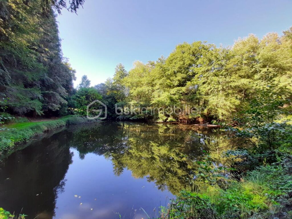 Terrain de loisir 9275 m² – Cognac la Forêt 87310 – NR pièces – NR chambres – 9773 m²