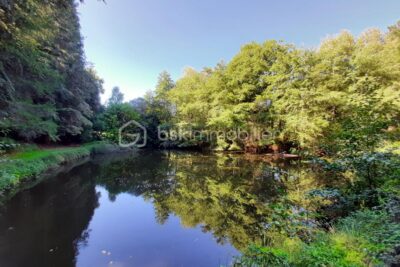 Terrain de loisir 9275 m² – Cognac la Forêt 87310 – NR pièces – NR chambres – 9773 m²