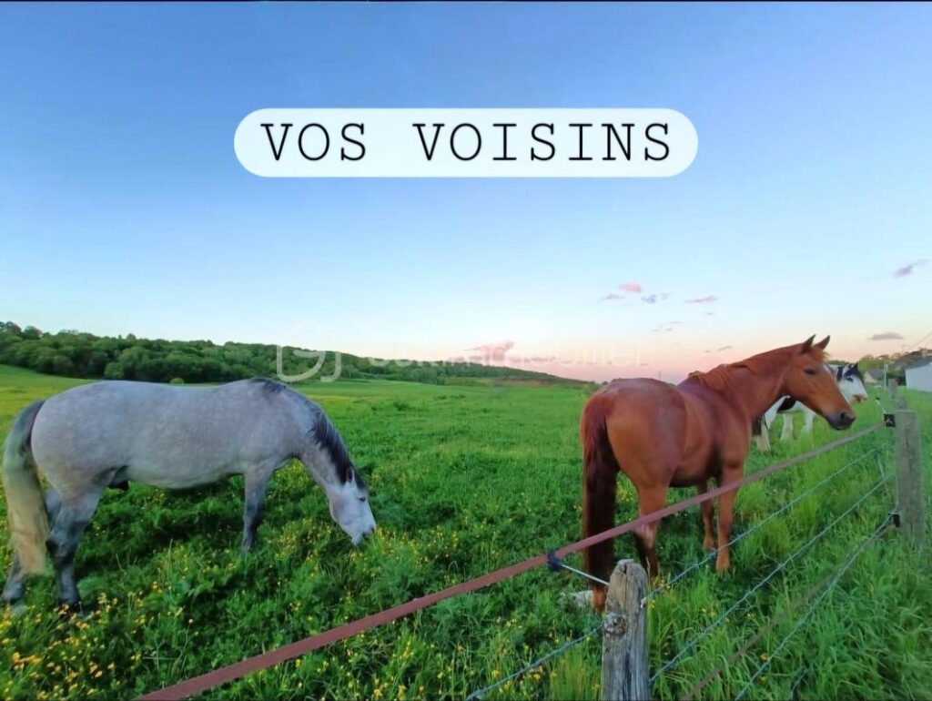 Mansart 7 pièces 216m² indépendant sous-sol DPE C – 7 pièces – 4 chambres – 151 m²