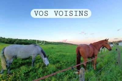 Mansart 7 pièces 216m² indépendant sous-sol DPE C – 7 pièces – 4 chambres – 151 m²