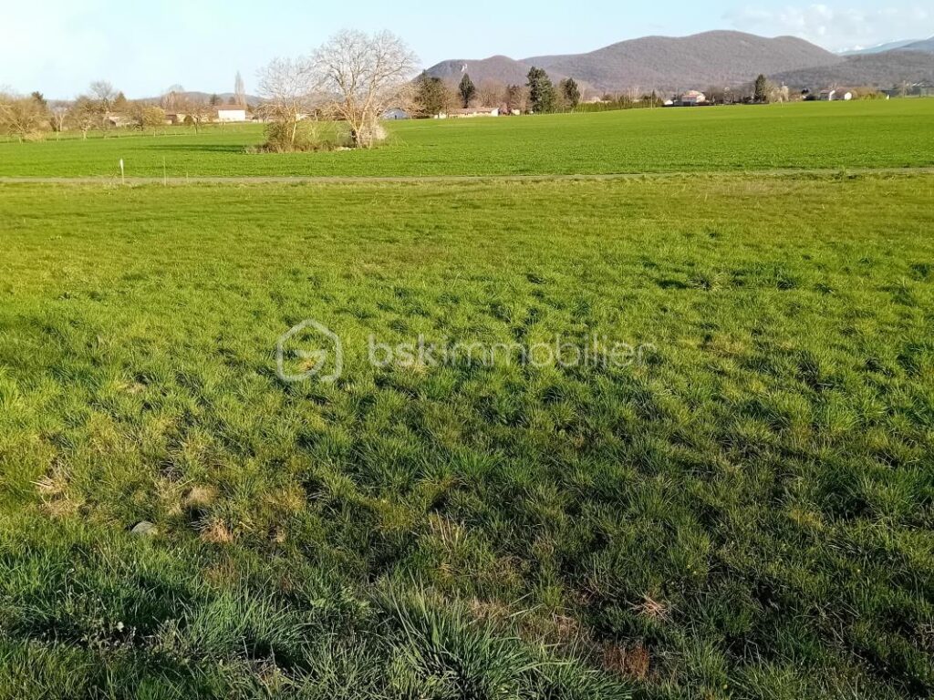Terrain constructible 1578 m² vue sur les Pyrénées – NR pièces – NR chambres – 1578 m²