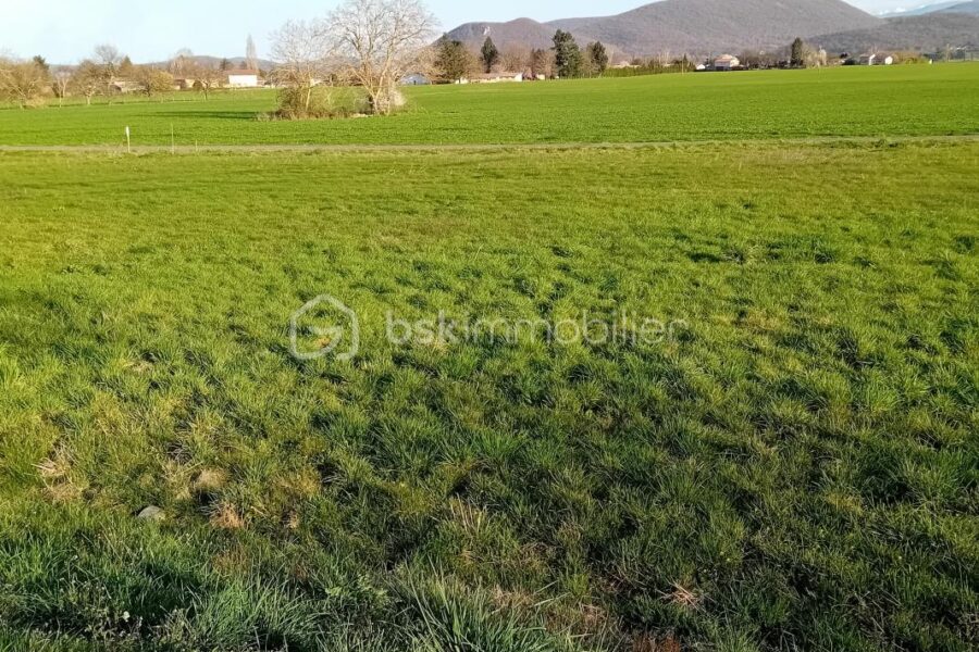 Terrain à vendre à Pointis de riviere