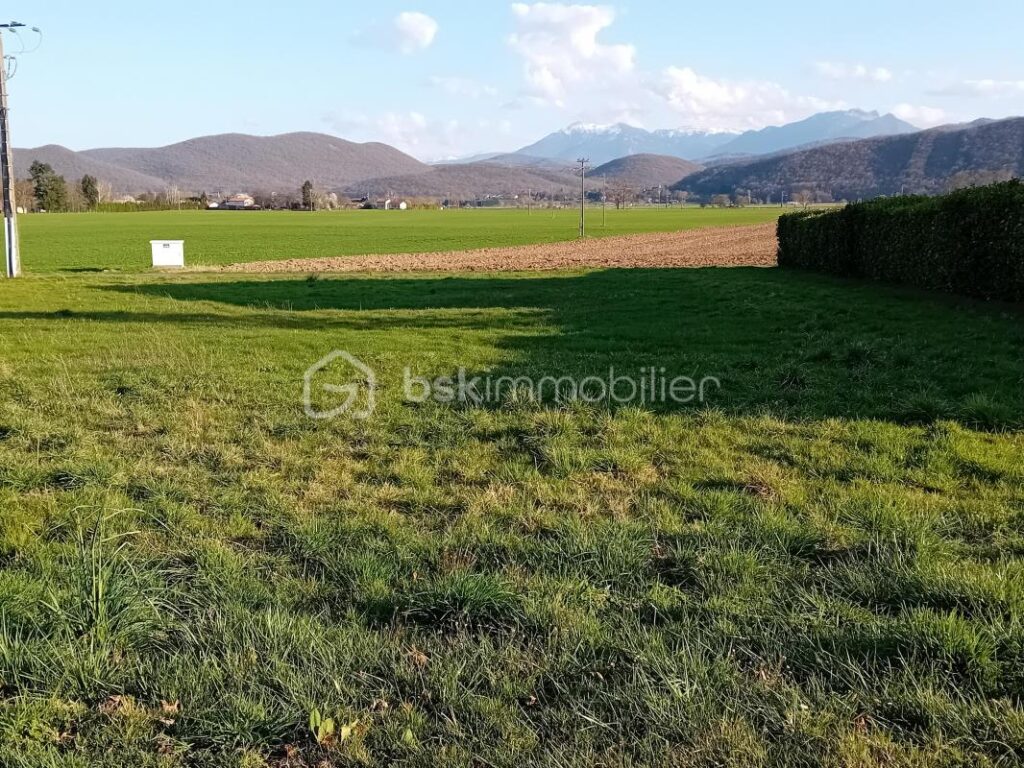 Terrain – NR pièces – NR chambres – 1585 m²