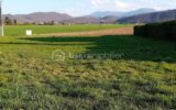 Terrain – NR pièces – NR chambres – 1585 m²