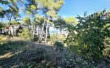 Terrain constructible de 2887 m² – Opportunité rare à Sète – NR pièces – NR chambres – 2887 m²