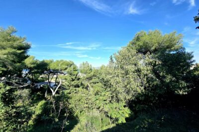 Terrain de 1419m² – Sète, Mont Saint-Clair – NR pièces – NR chambres – 1419 m²