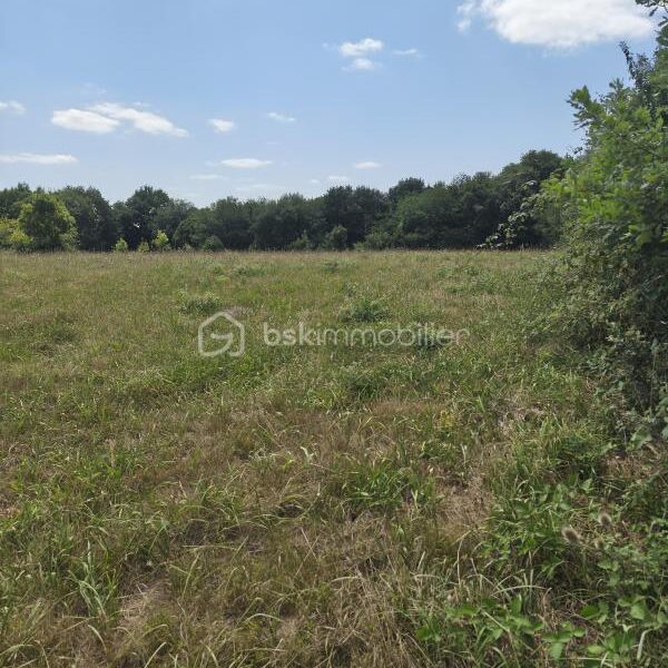 Terrain à vendre à Guizerix