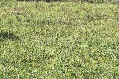 À vendre – Terrain constructible à Trie-sur-Baïse – Environ 1 500 m² – NR pièces – NR chambres – 1500 m²