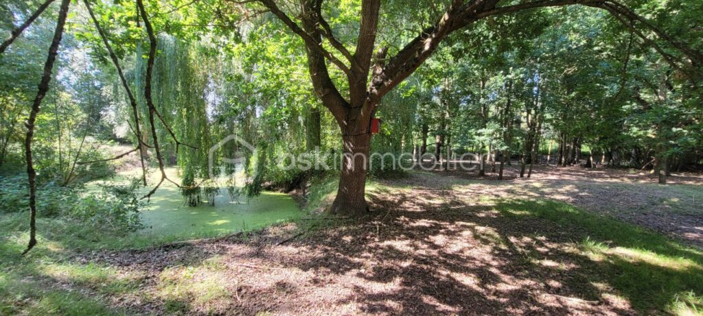 LONGERE 7 PIECES 175 M² TERRAIN 13757 – 7 pièces – 2 chambres – 175 m²