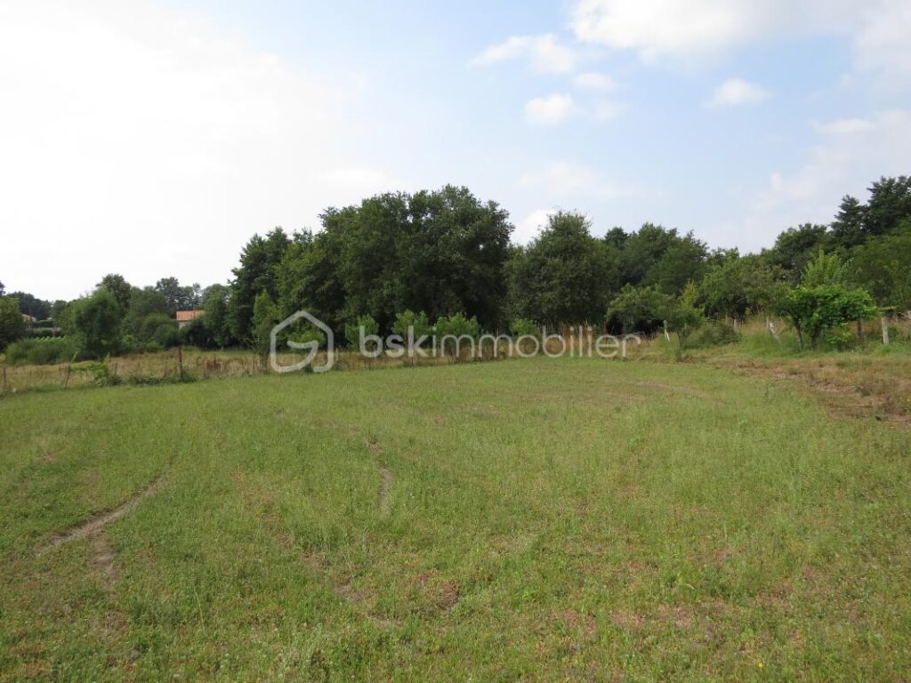 Terrain constructible – NR pièces – NR chambres – 819 m²