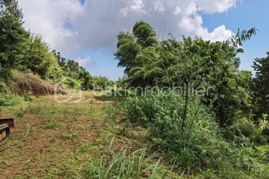 Terrain à vendre à Saint denis