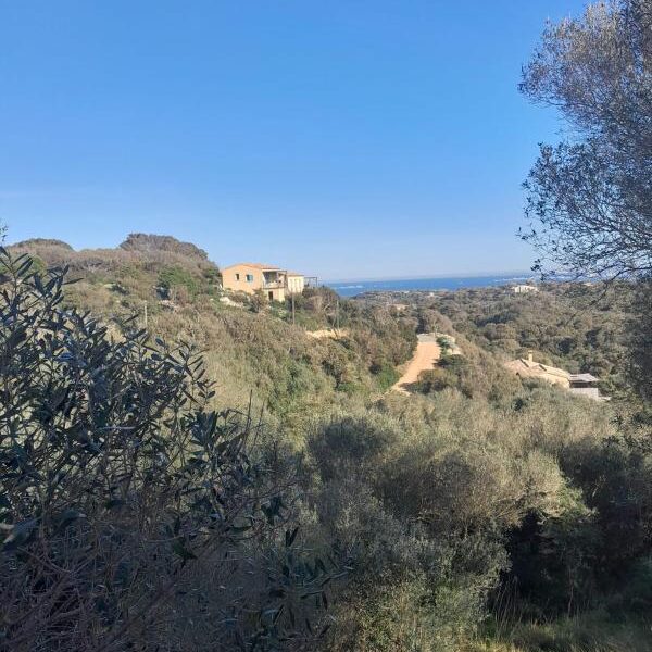 Maison à vendre à Bonifacio — Vue mer — photo 1