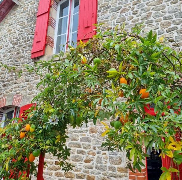 Maison à vendre à Ile aux moines