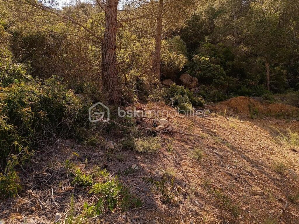 À vendre – Terrain agricole de 2 045 m² – Vue panoramique à Tautavel – NR pièces – NR chambres – 2045 m²