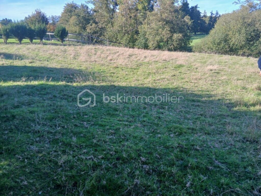 Terrain constructible en bordure de rivière – NR pièces – NR chambres – 1250 m²