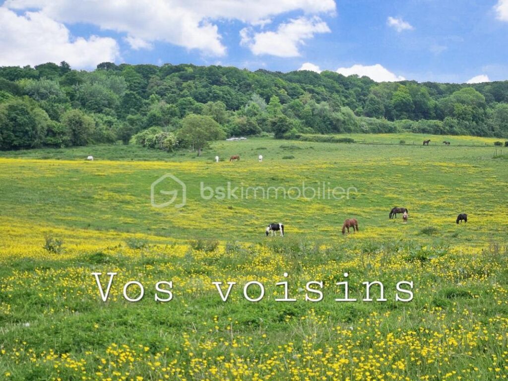 Terrain constructible proche des chevaux – NR pièces – NR chambres – 226 m²