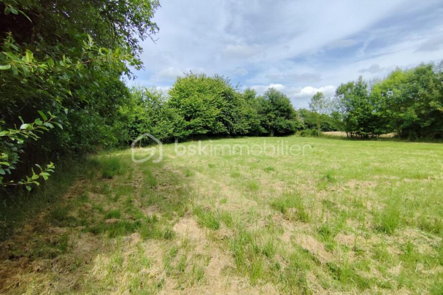Terrain à vendre à Lezay