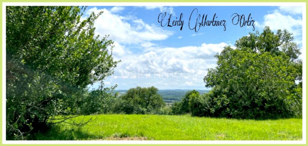 Propriété, maison 200m2,terrain 2,7ha – 6 pièces – 3 chambres – 200 m²