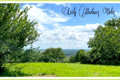 Propriété, maison 200m2,terrain 2,7ha – 6 pièces – 3 chambres – 200 m²