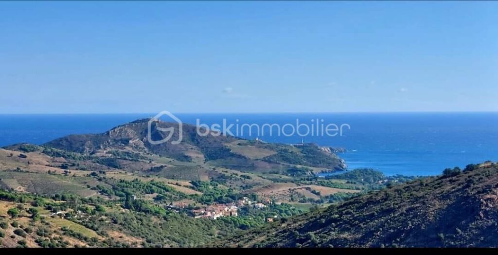 A VENDRE VIGNES EN COMPLANTS 47000 M² A BANYULS SUR MER – VUE MER – GRENACHE NOIR – NR pièces – NR chambres – 47000 m²