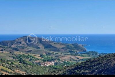 A VENDRE VIGNES EN COMPLANTS 47000 M² A BANYULS SUR MER – VUE MER – GRENACHE NOIR – NR pièces – NR chambres – 47000 m²