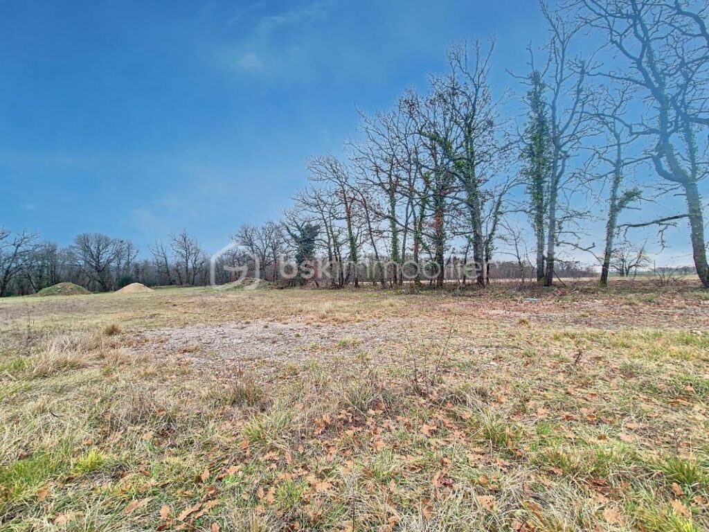 Terrain constructible avec permis de construire à Lauzerte – Un coin de paradis en pleine nature ! 🌿 – NR pièces – NR chambres – 5000 m²
