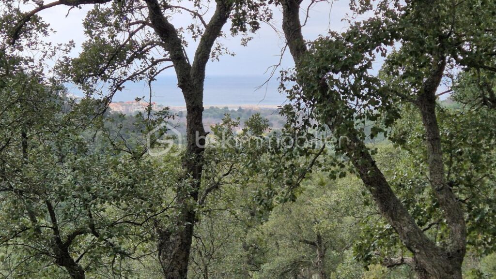A VENDRE BOIS 56090M² A ARGELES SUR MER – PROCHE DU RACOU – VUE MER – FORAGE – PUITS ARTESIEN – PANNEAUX PHOTOVOLTAIQUES – ELECTRICITE – NR pièces – NR chambres – 56090 m²