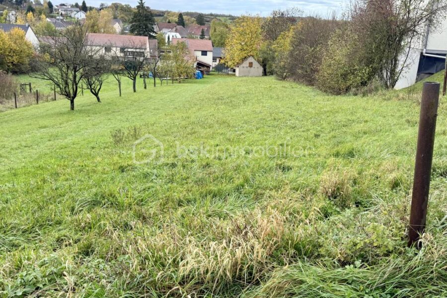 Terrain à vendre à Diebling — Vue nature — photo 1