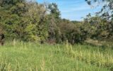 Terrain à vendre à Bouxieres aux chenes
